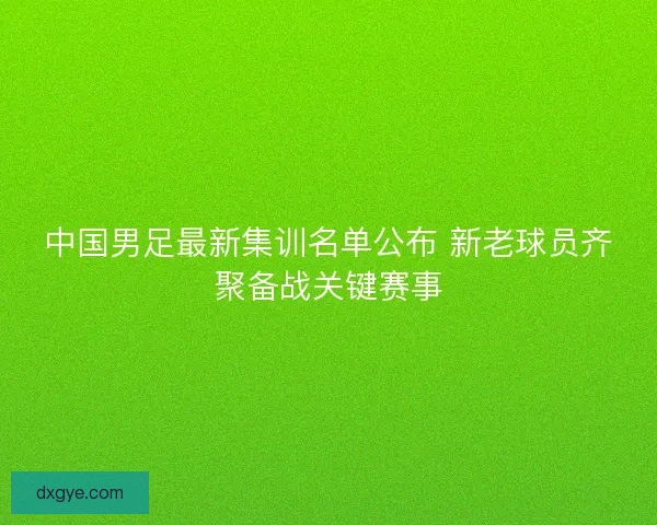 中国男足最新集训名单公布 新老球员齐聚备战关键赛事