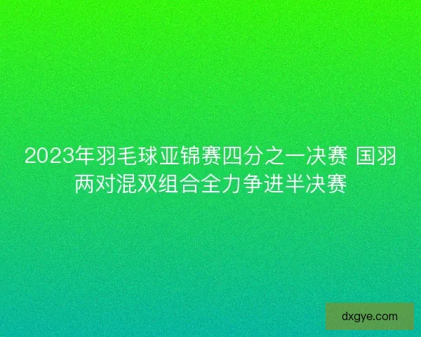 2023年羽毛球亚锦赛四分之一决赛 国羽两对混双组合全力争进半决赛 2023年羽毛球亚锦赛四分之一决赛 国羽两对混双组合全力争进半决赛