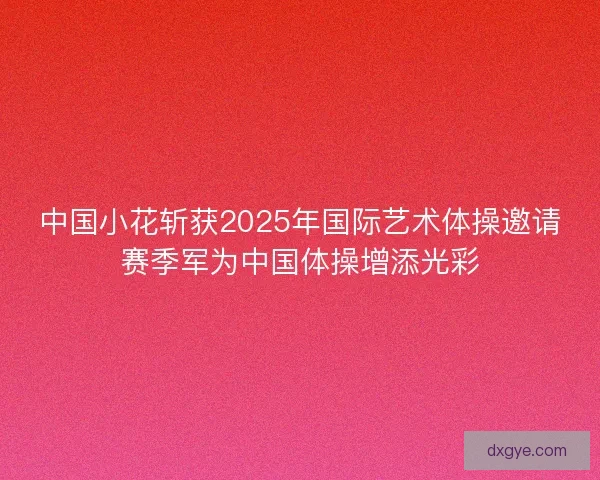 中国小花斩获2025年国际艺术体操邀请赛季军为中国体操增添光彩