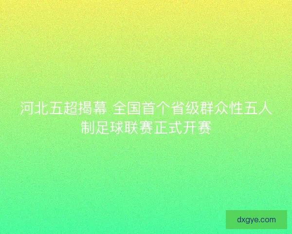 河北五超揭幕 全国首个省级群众性五人制足球联赛正式开赛