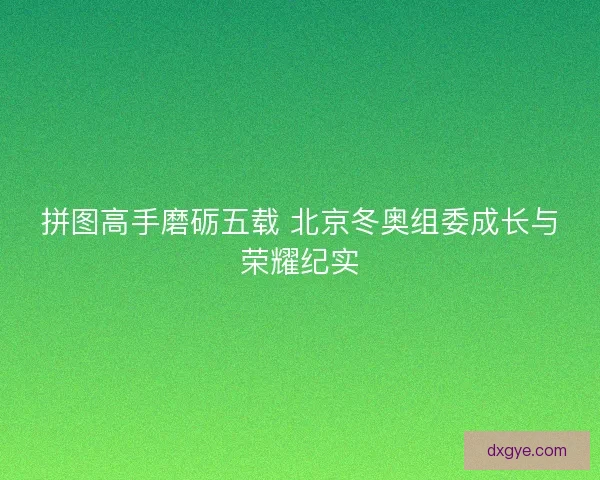 拼图高手磨砺五载 北京冬奥组委成长与荣耀纪实